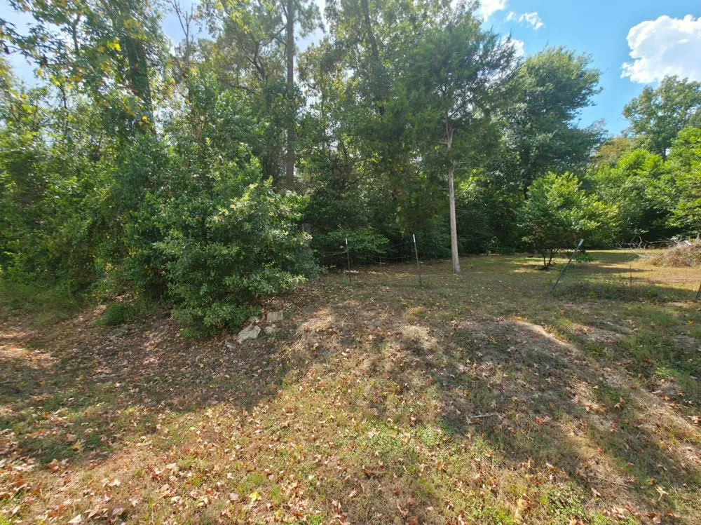 Bonham Ln Willis, TX 77378