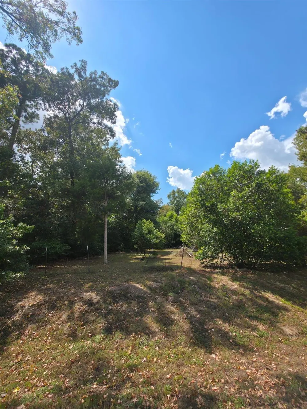 Bonham Ln Willis, TX 77378