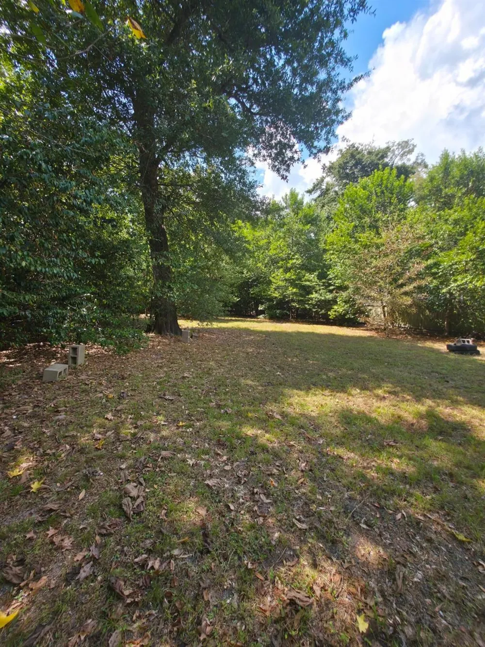 Bonham Ln Willis, TX 77378