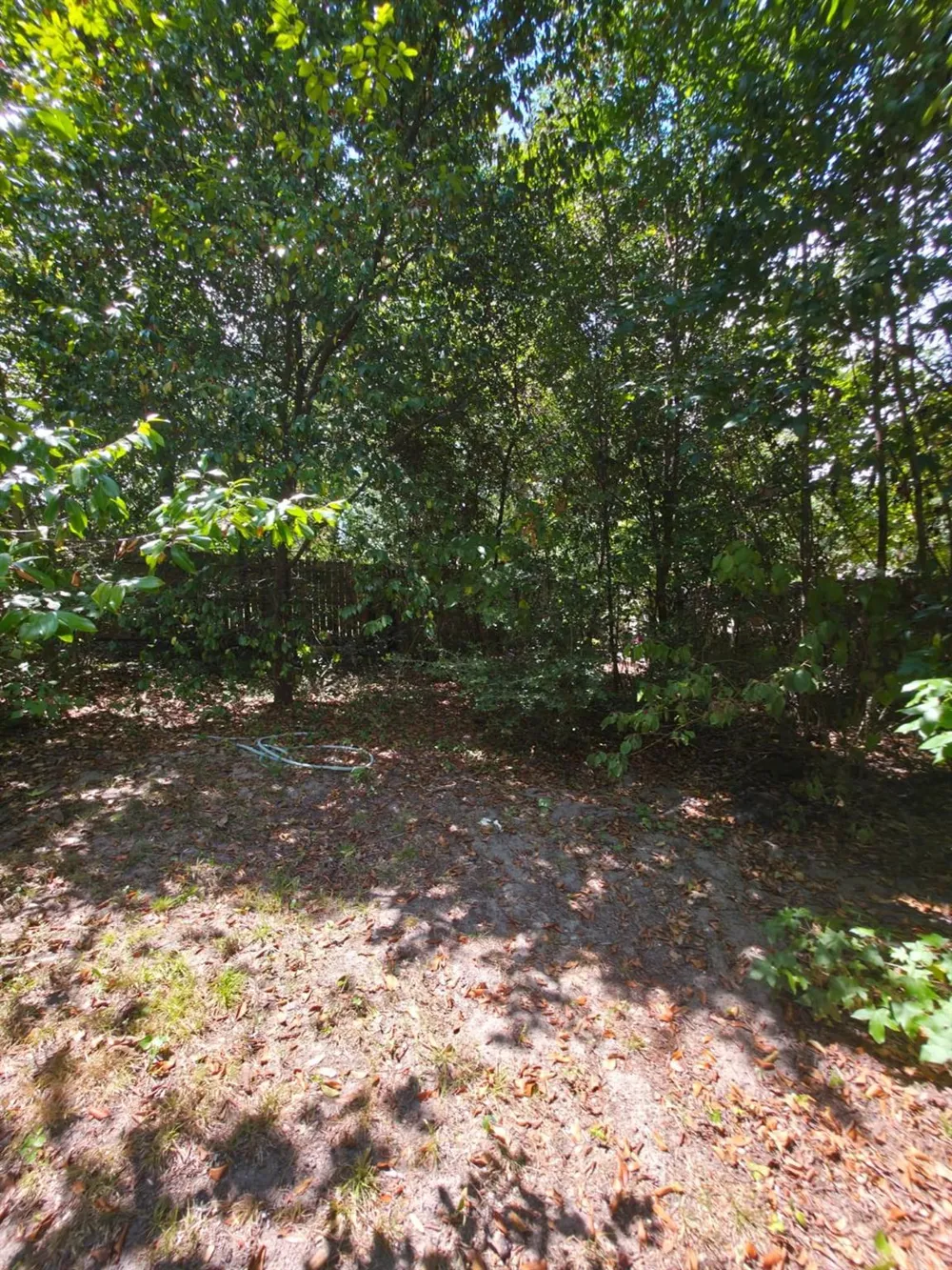 Bonham Ln Willis, TX 77378