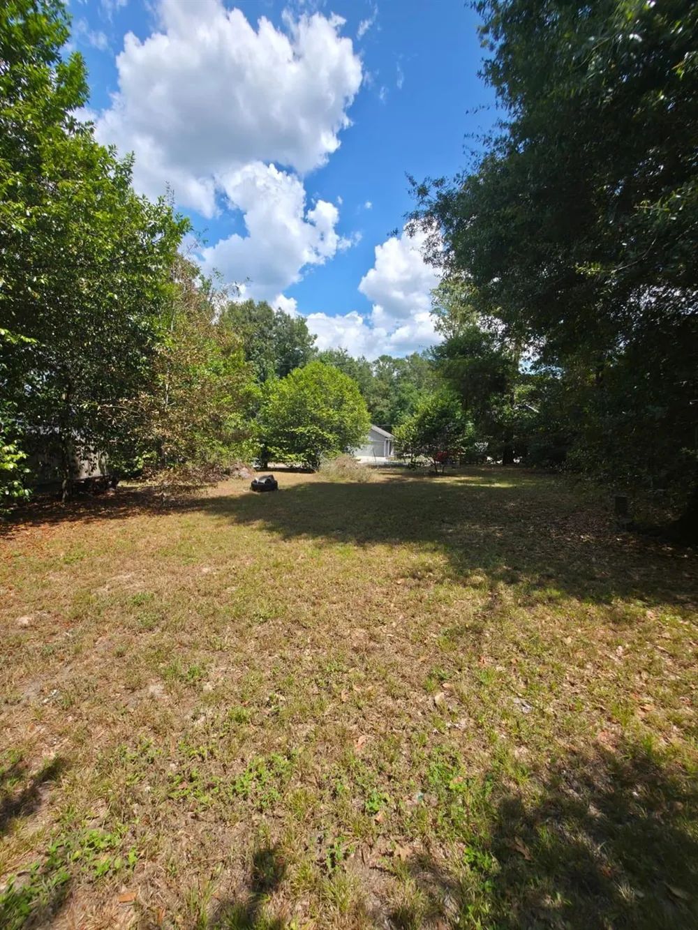Bonham Ln Willis, TX 77378