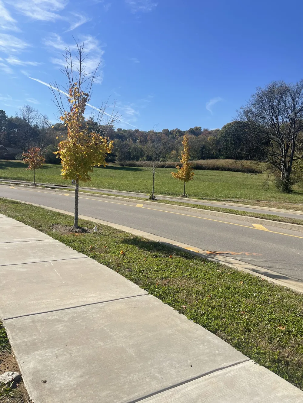 0 Pasquo Road Nashville, TN 37221