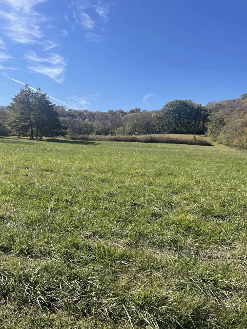 0 Pasquo Road Nashville, TN 37221