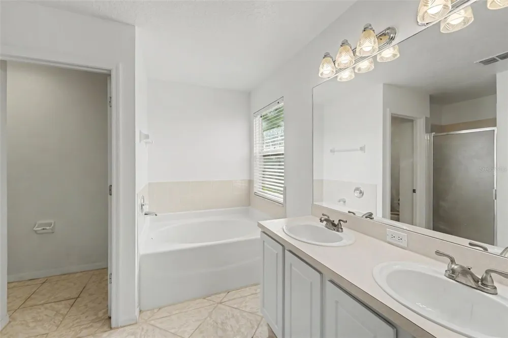 19431 SANDY SPRINGS CIRCLE Lutz, FL 33558