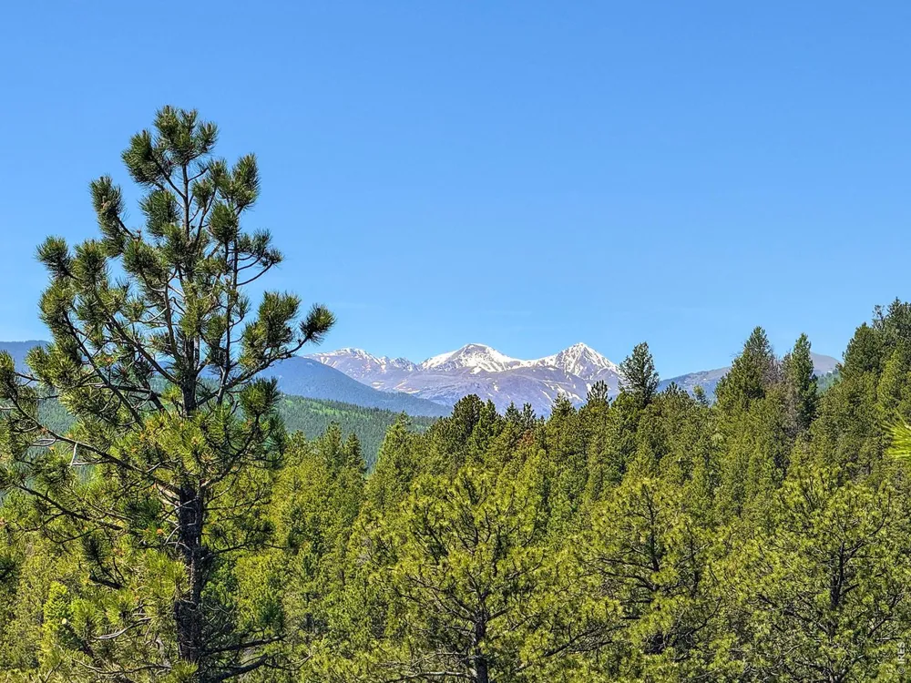 212 Elk Place Black Hawk, CO 80422