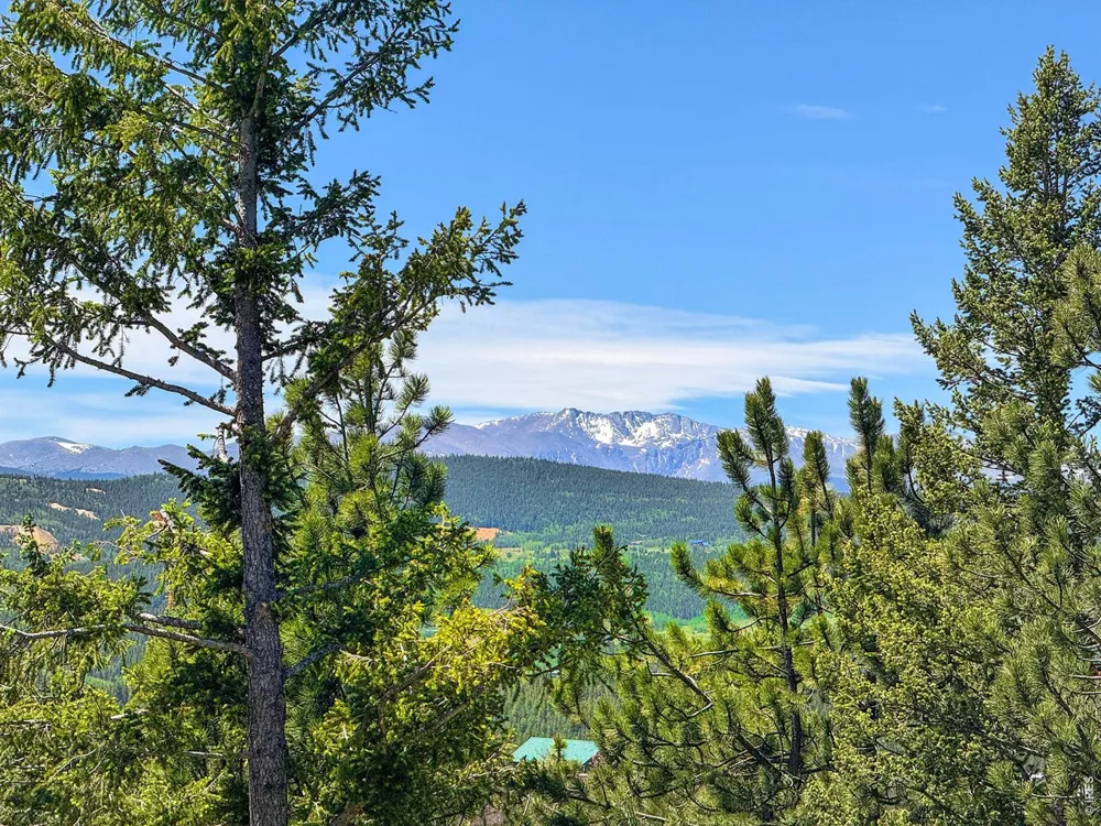 212 Elk Place Black Hawk, CO 80422