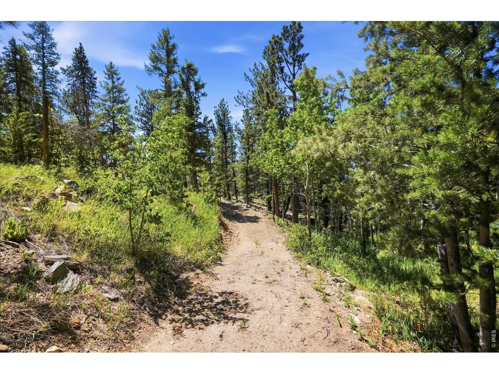 212 Elk Place Black Hawk, CO 80422