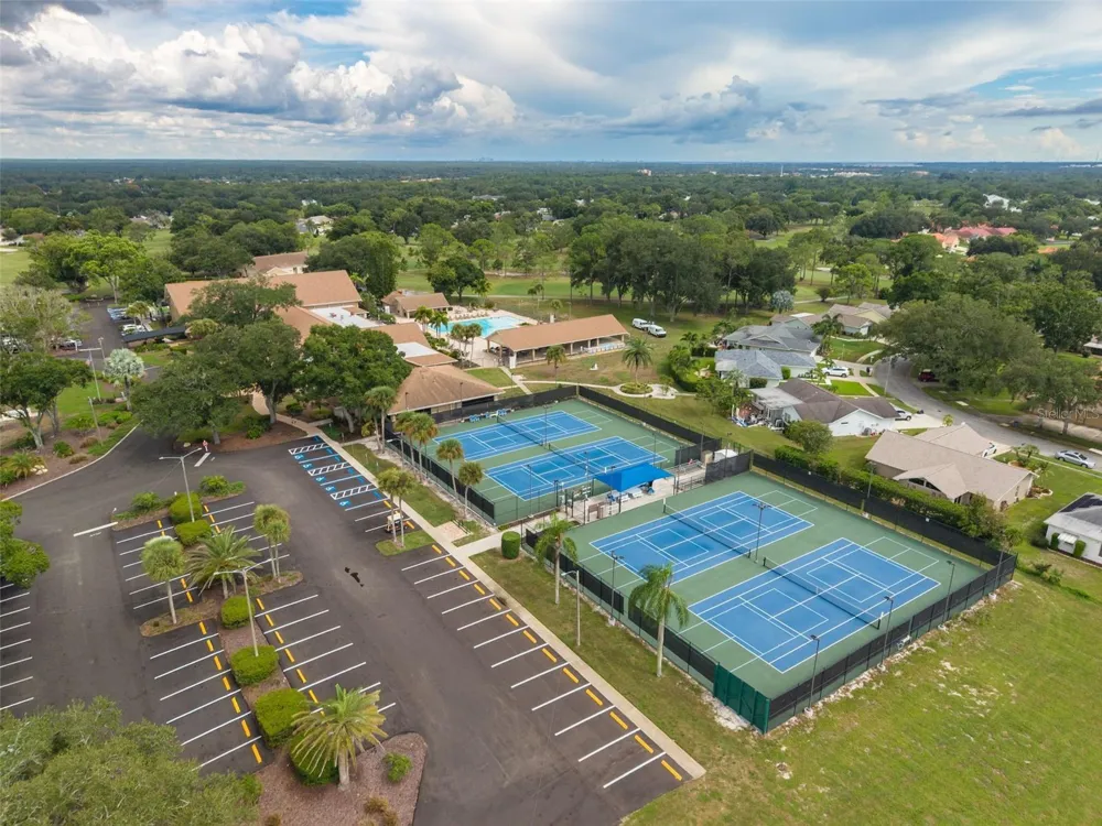 3558 OAK LAKE DRIVE Palm Harbor, FL 34684