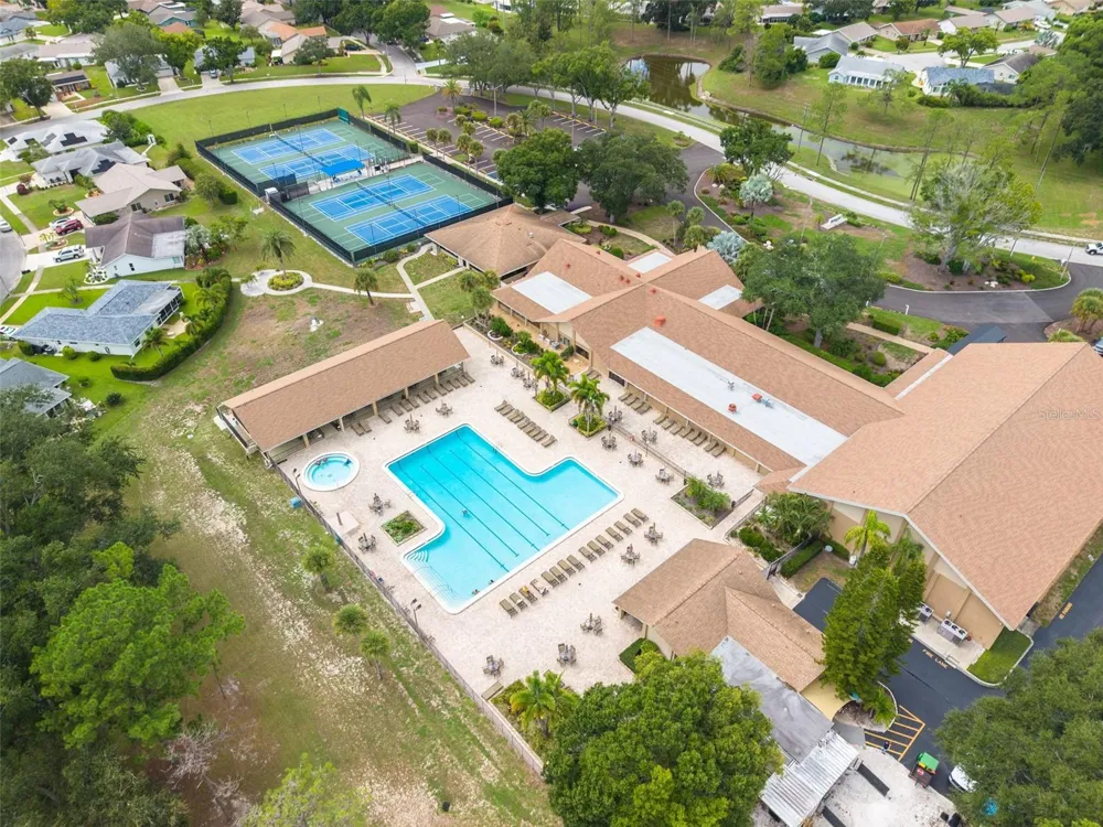 3558 OAK LAKE DRIVE Palm Harbor, FL 34684