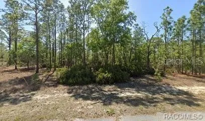 10584 INEZ TERRACE Citrus Springs, FL 34433