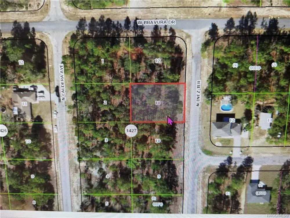 10584 INEZ TERRACE Citrus Springs, FL 34433