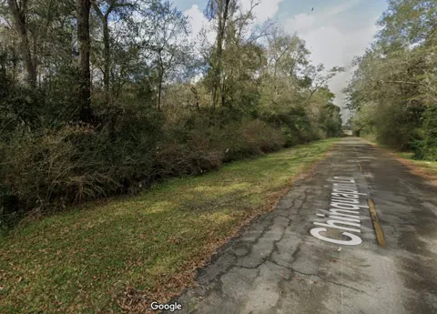 Chinquapin Lane