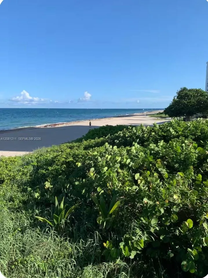 1480 S Ocean Blvd #218 Lauderdale By The Sea, FL 33062
