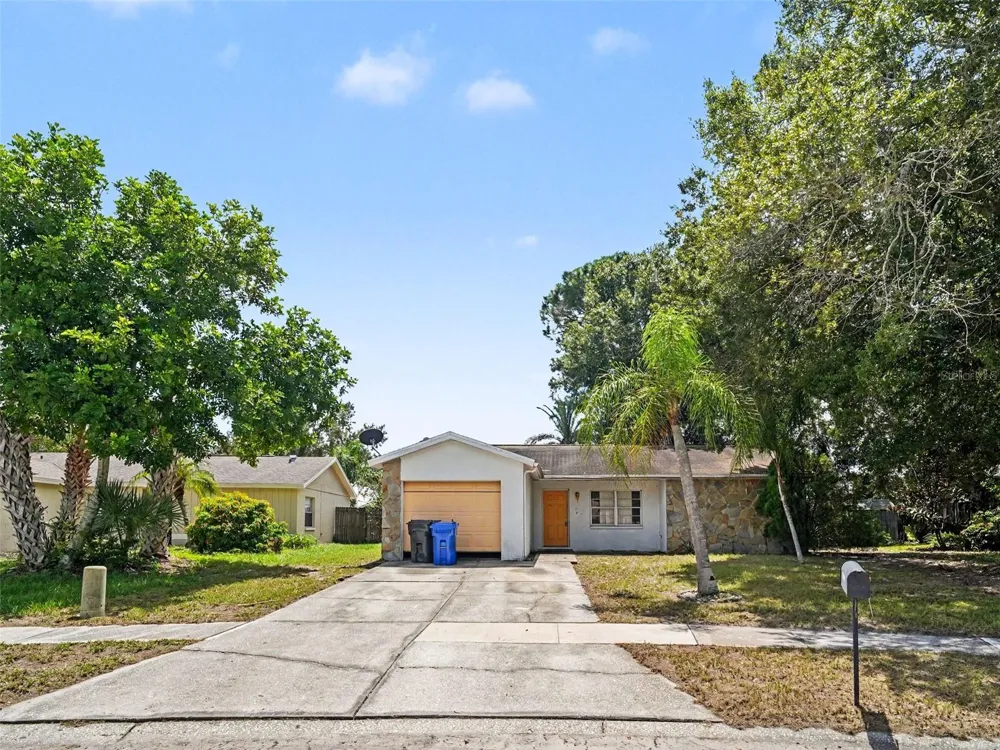 11329 BLACKBARK DR Riverview, FL 33579