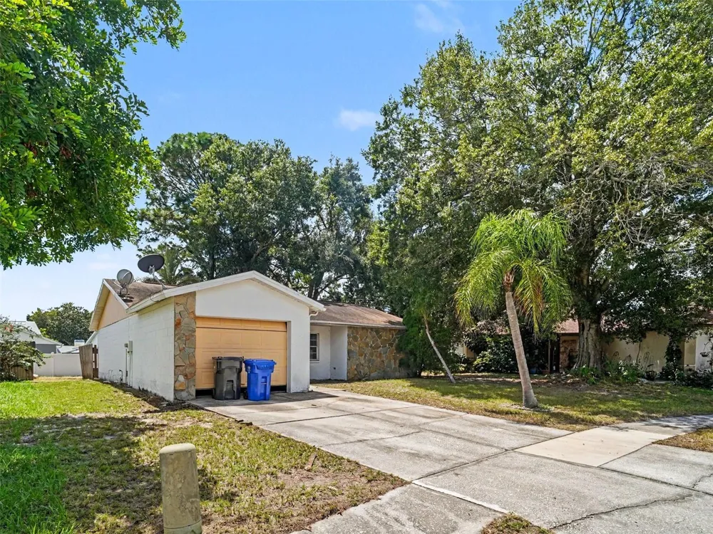 11329 BLACKBARK DR Riverview, FL 33579