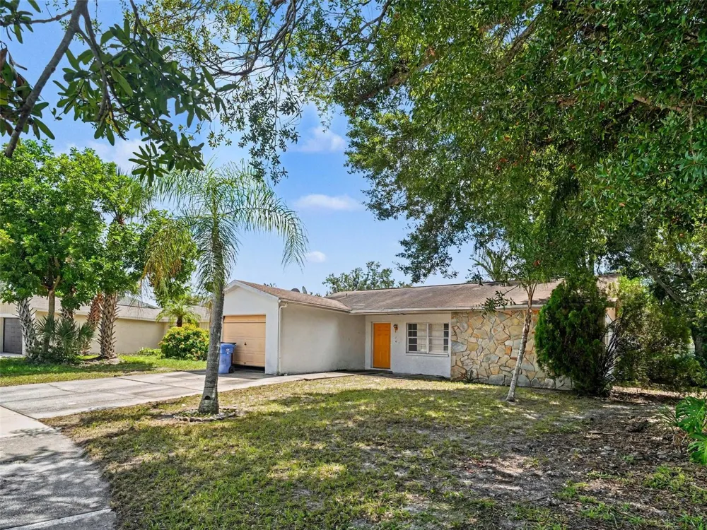 11329 BLACKBARK DR Riverview, FL 33579