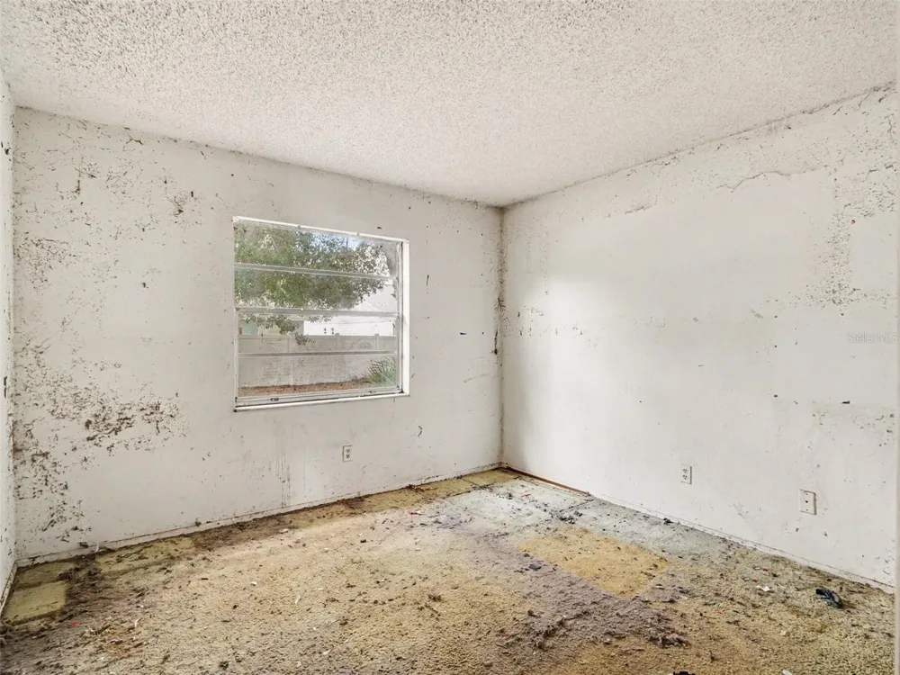 11329 BLACKBARK DR Riverview, FL 33579