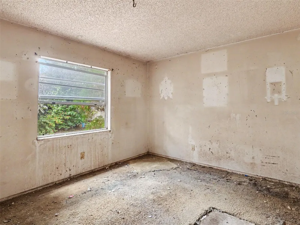 11329 BLACKBARK DR Riverview, FL 33579
