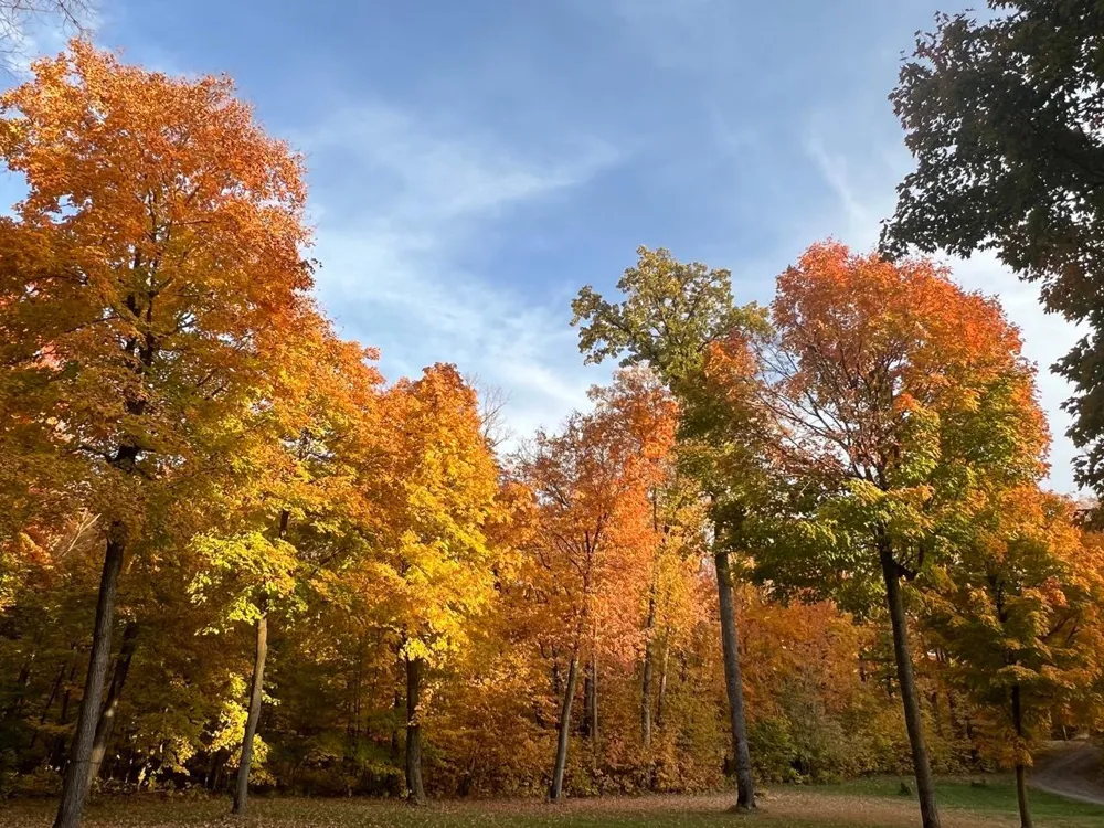30315 River Pointe Trail Underwood, MN 56586