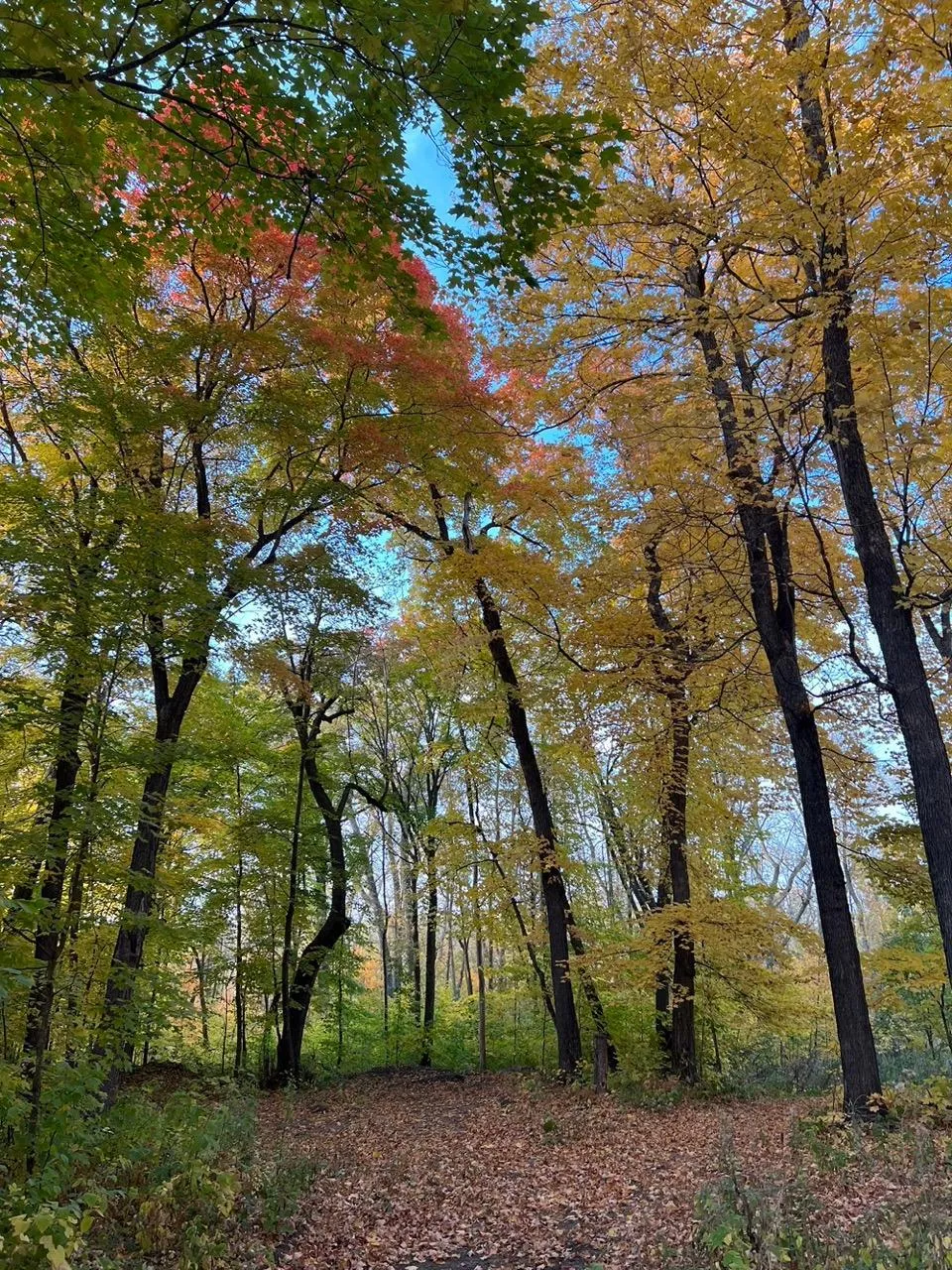 30315 River Pointe Trail Underwood, MN 56586