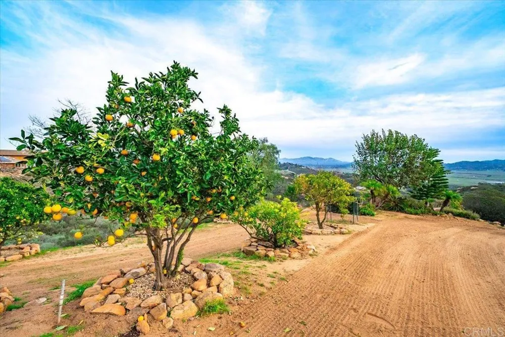 19894 Via Vista Grande Ramona, CA 92065