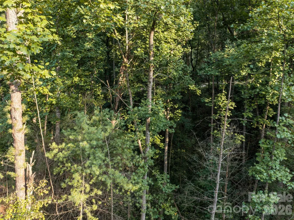 45 Jake Ridge Trail Fletcher, NC 28732