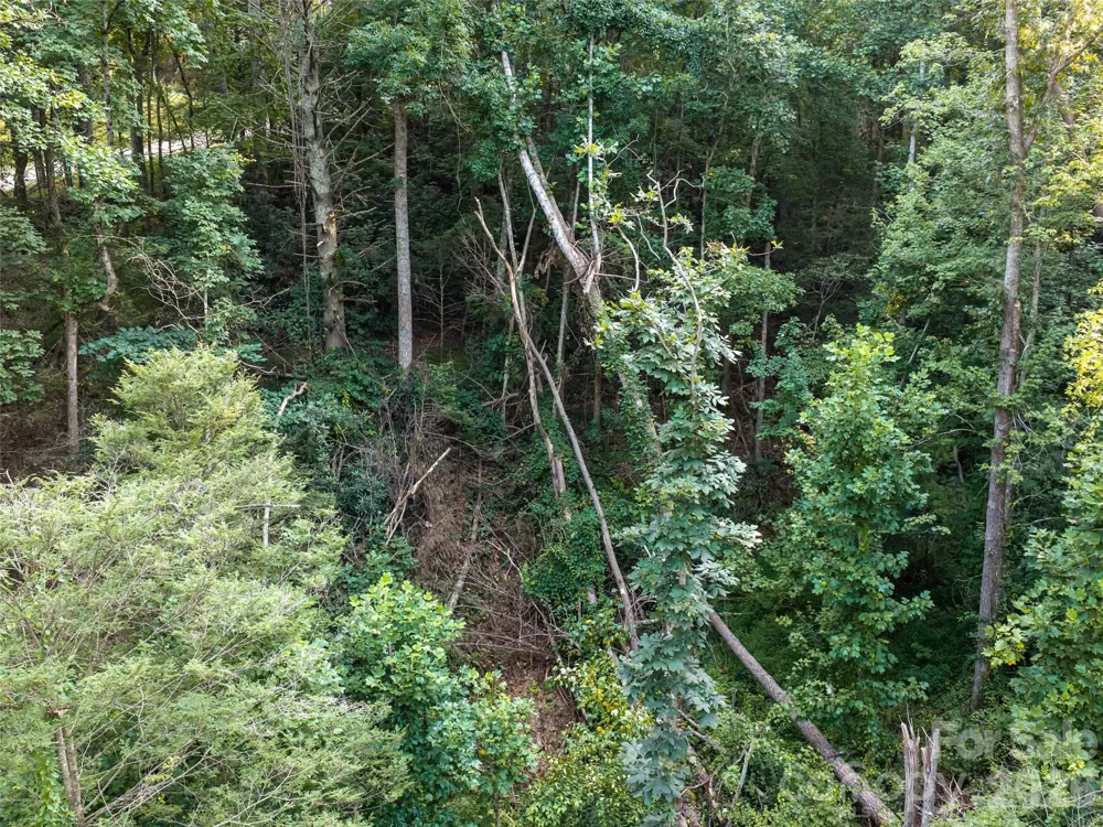 45 Jake Ridge Trail Fletcher, NC 28732