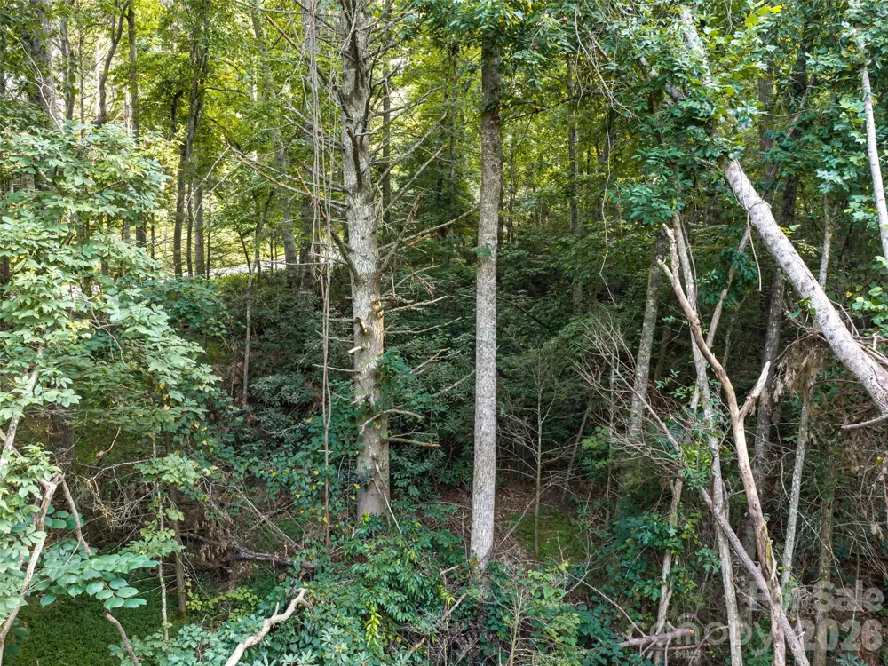 45 Jake Ridge Trail Fletcher, NC 28732