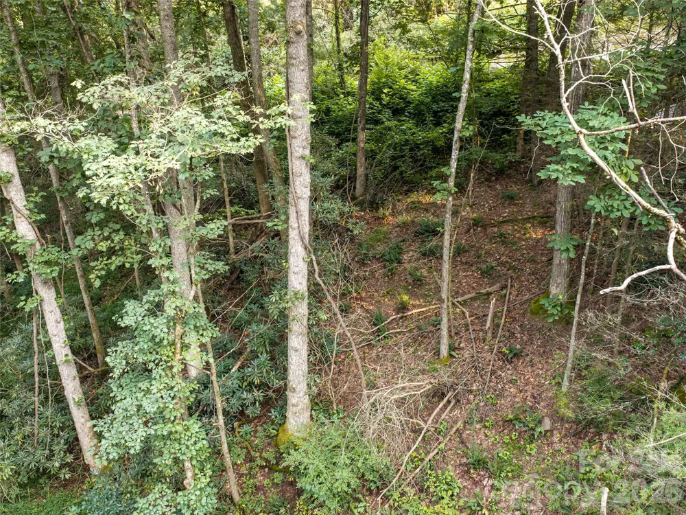 45 Jake Ridge Trail Fletcher, NC 28732