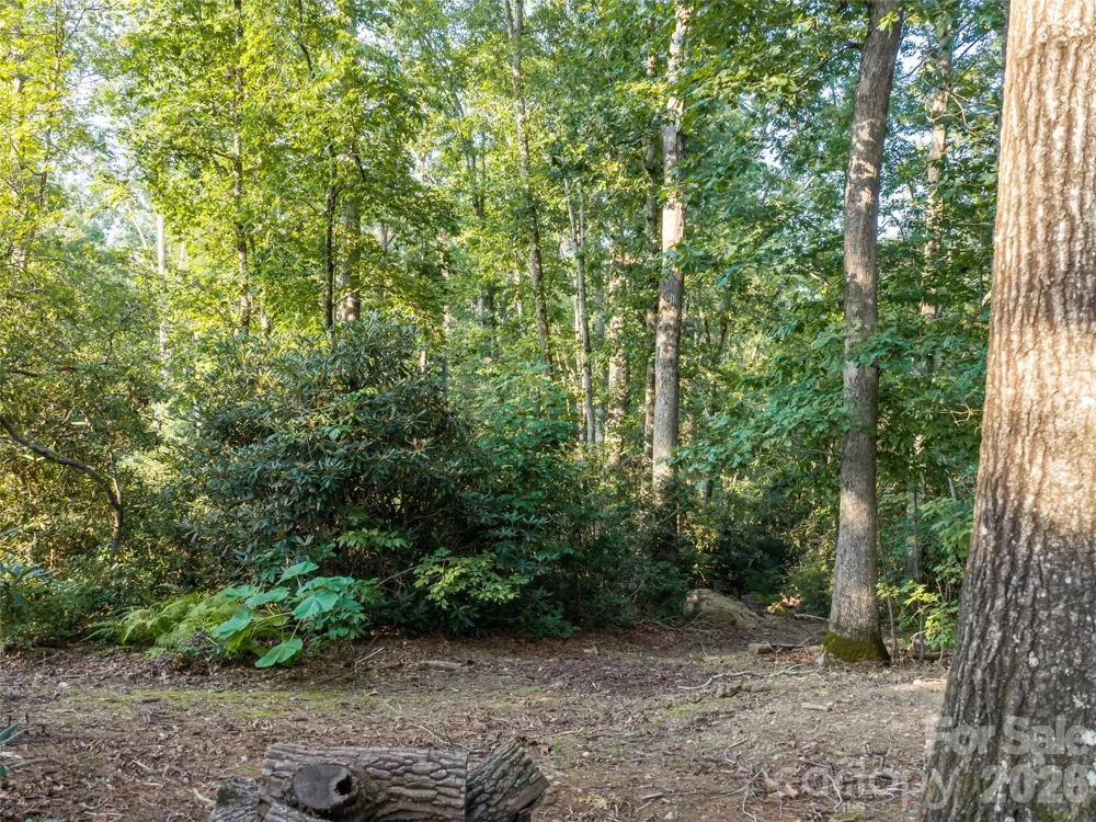 45 Jake Ridge Trail Fletcher, NC 28732