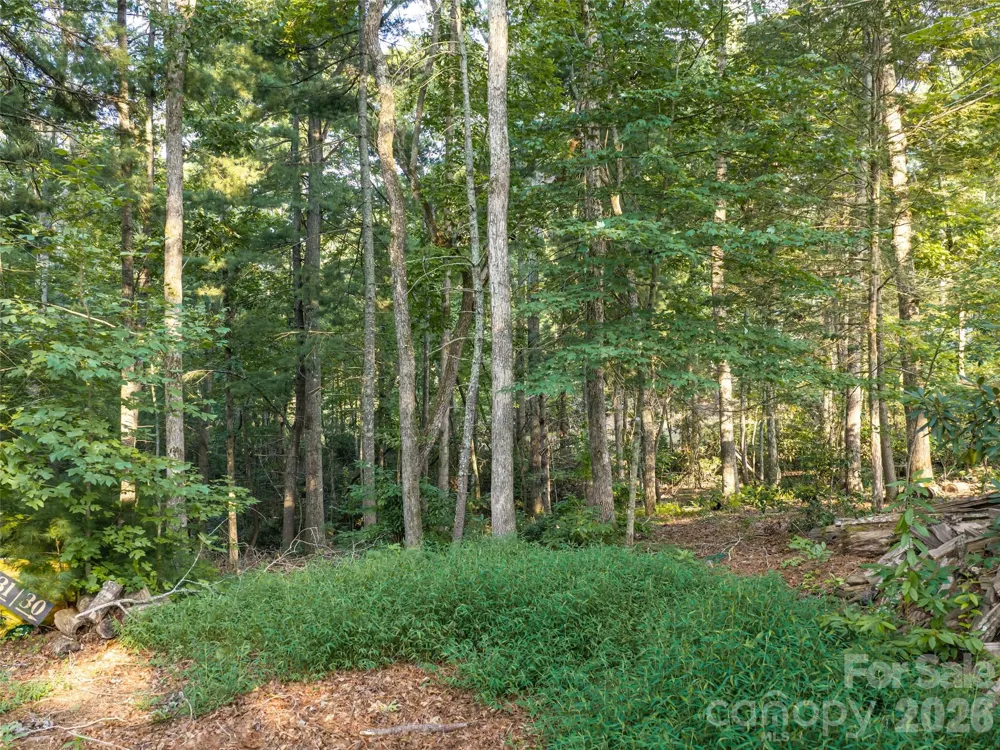 45 Jake Ridge Trail Fletcher, NC 28732