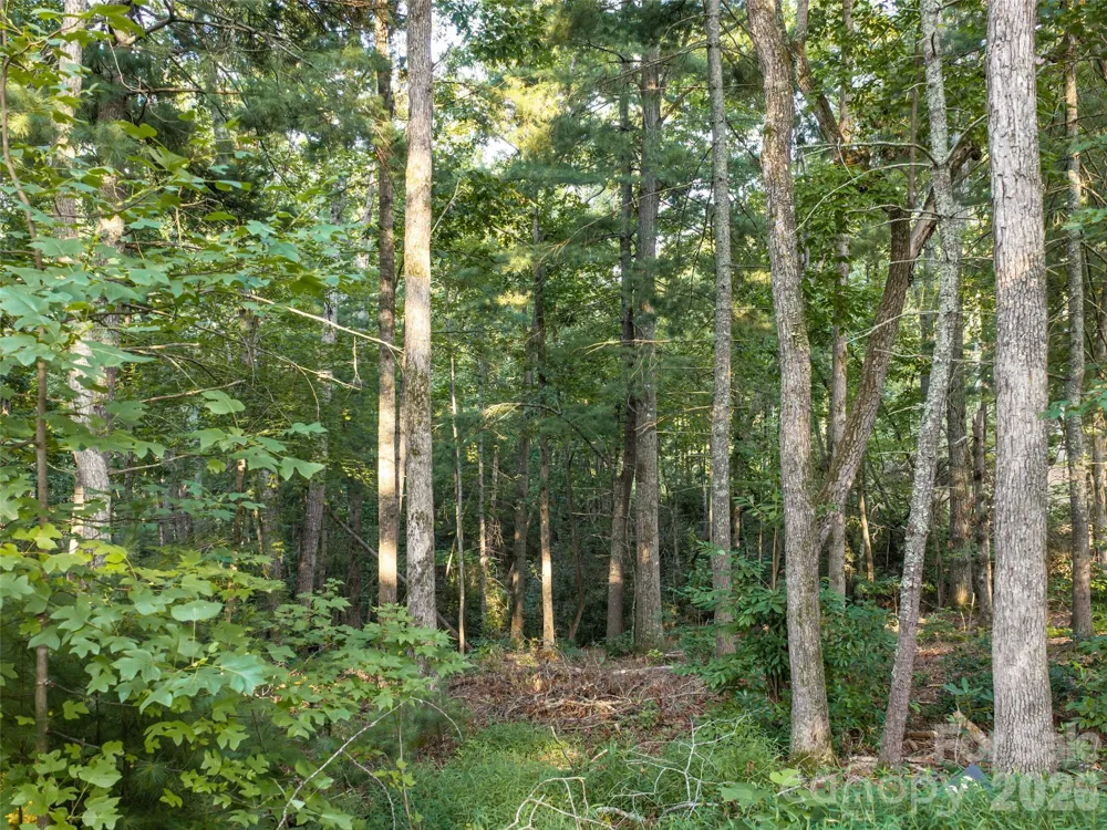 45 Jake Ridge Trail Fletcher, NC 28732