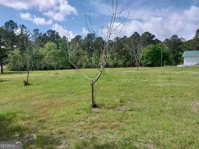 152 Seaweed Road Fitzgerald, GA 31750