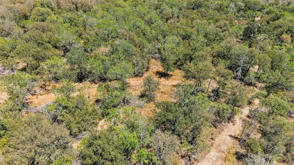 388 The Forest Road Dale, TX 78616