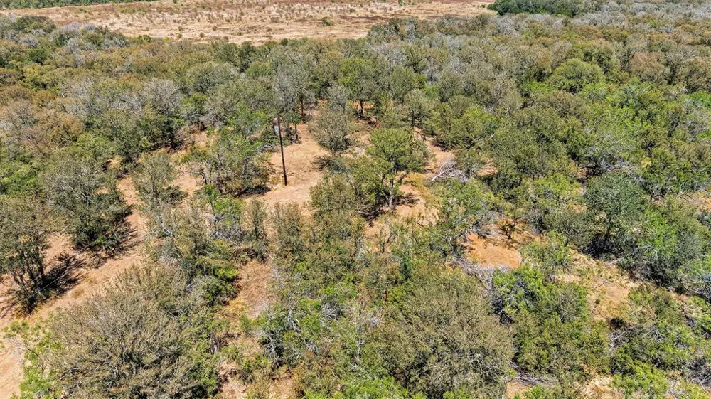388 The Forest Road Dale, TX 78616