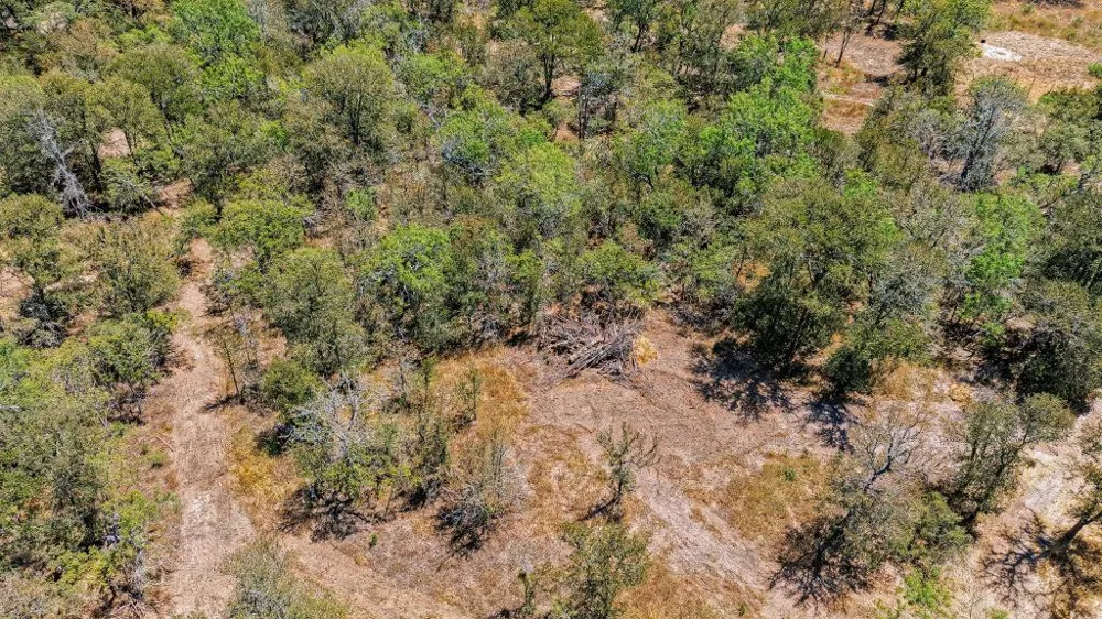 388 The Forest Road Dale, TX 78616