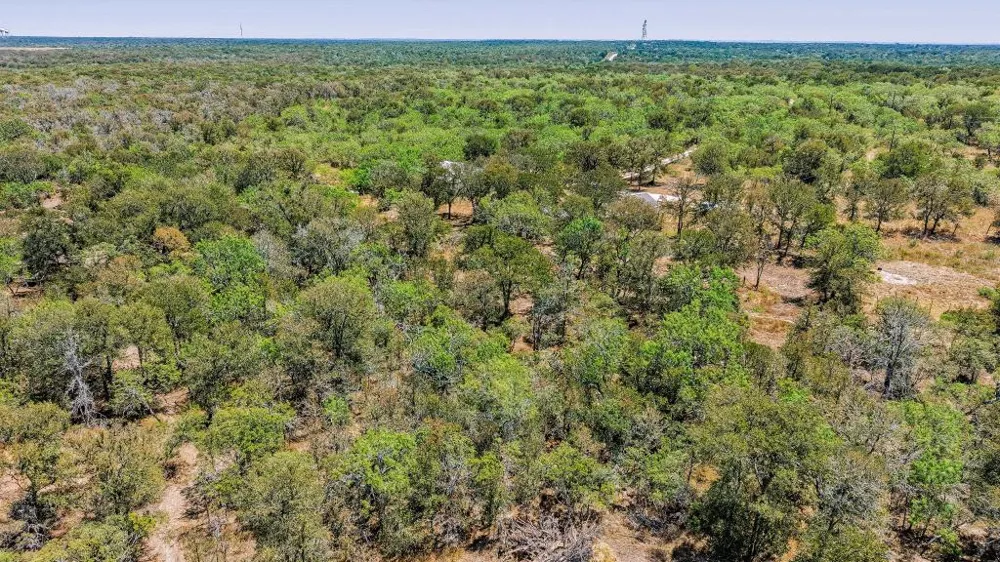 388 The Forest Road Dale, TX 78616