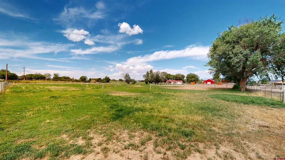 12656 6100 ROAD Montrose, CO 81403