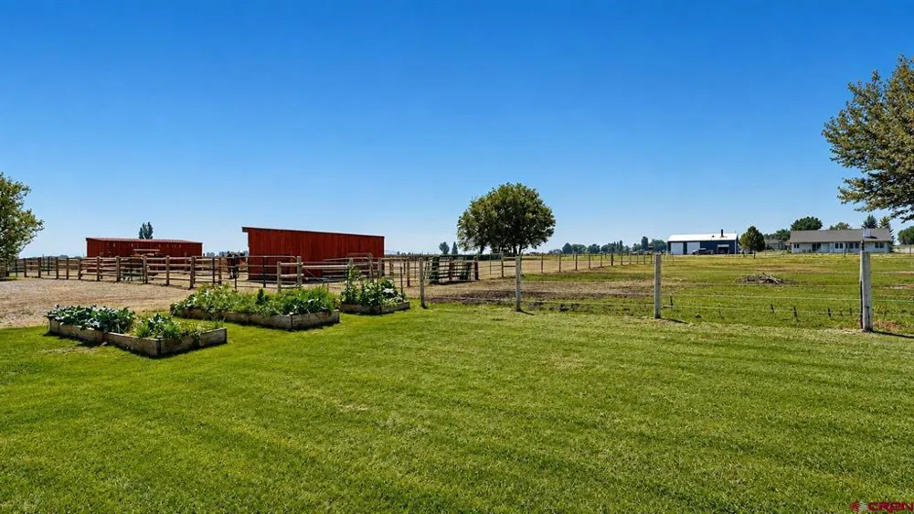 12656 6100 ROAD Montrose, CO 81403