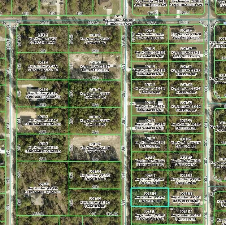 MALDEN ROAD Weeki Wachee, FL 34614