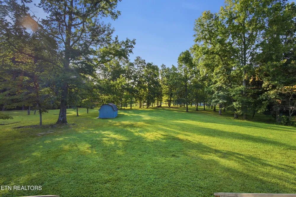 284 Amy Trail Spring City, TN 37381