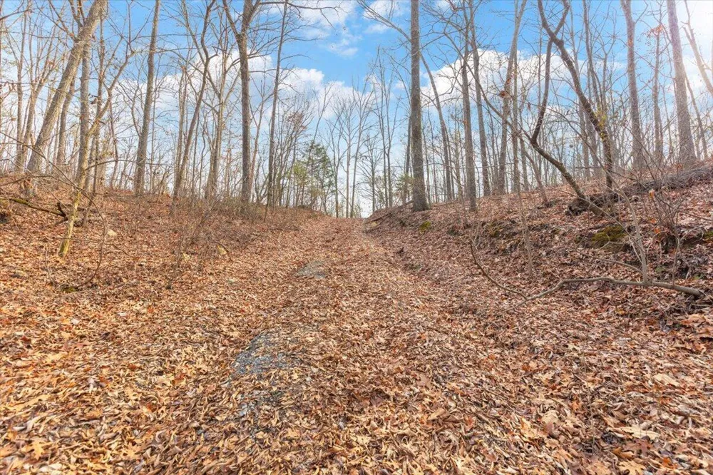 13 Percheron Drive Dalton, GA 30720