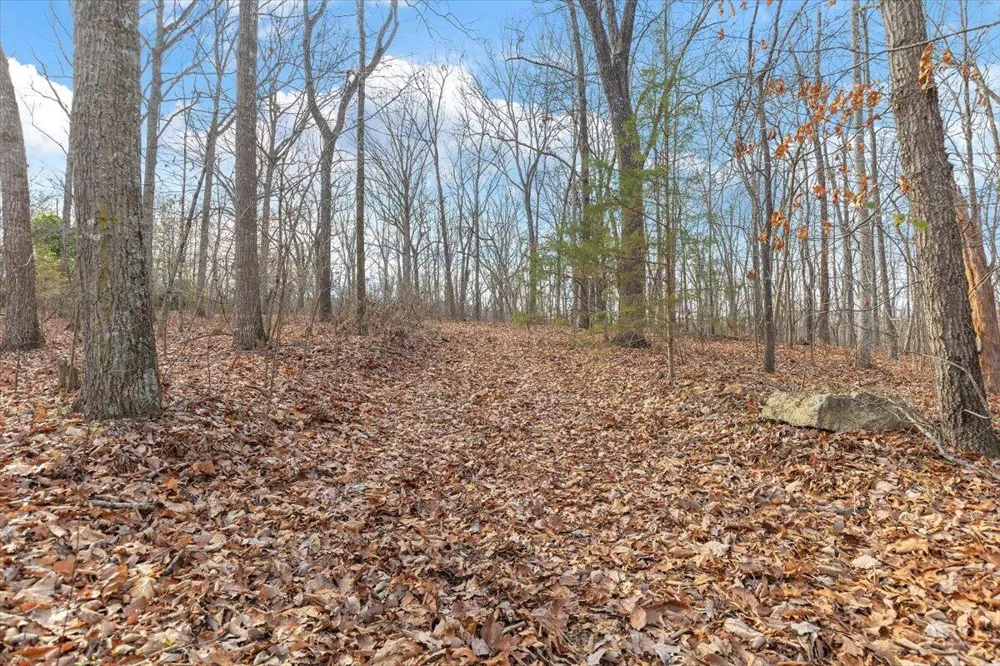 13 Percheron Drive Dalton, GA 30720