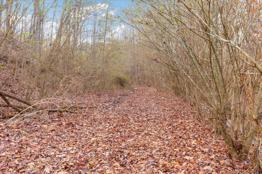 13 Percheron Drive Dalton, GA 30720
