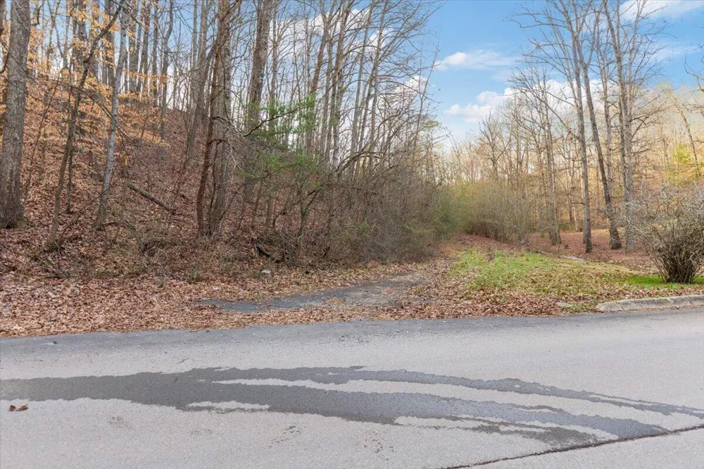 13 Percheron Drive Dalton, GA 30720