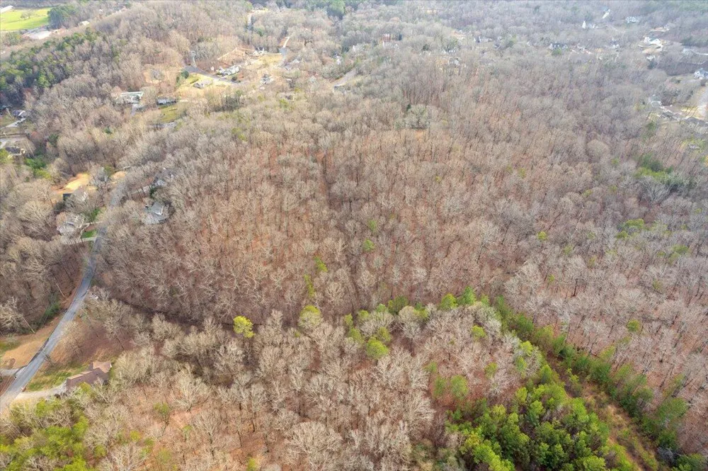 13 Percheron Drive Dalton, GA 30720