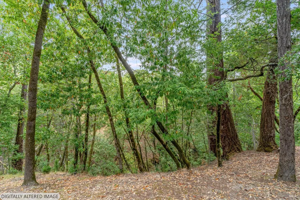 5439 Vista Grande Drive Santa Rosa, CA 95403