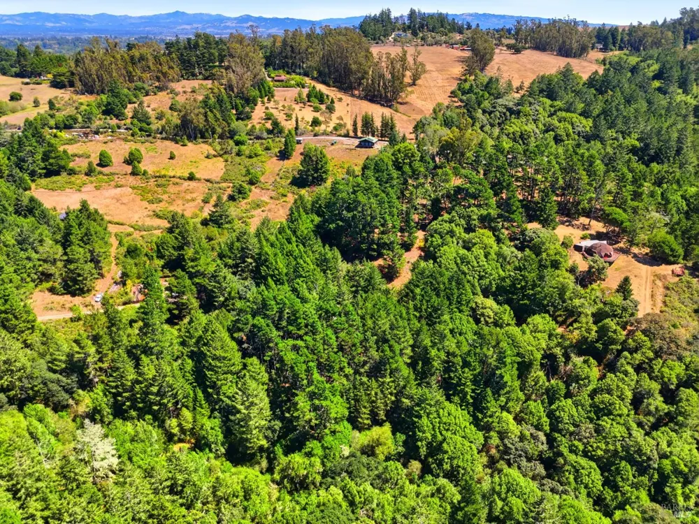 10635 Barnett Valley Road Sebastopol, CA 95472
