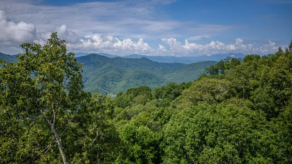 Golden Hawk Drive Bryson City, NC 28713