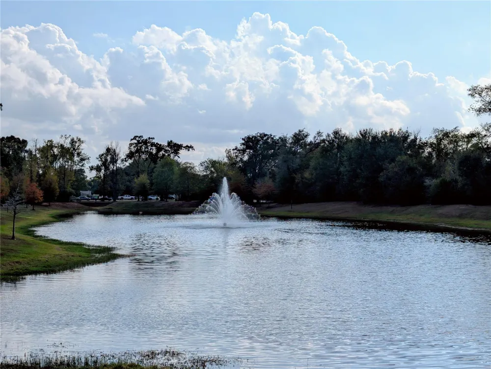 5002 Sawmill Terrace Lane Spring, TX 77389